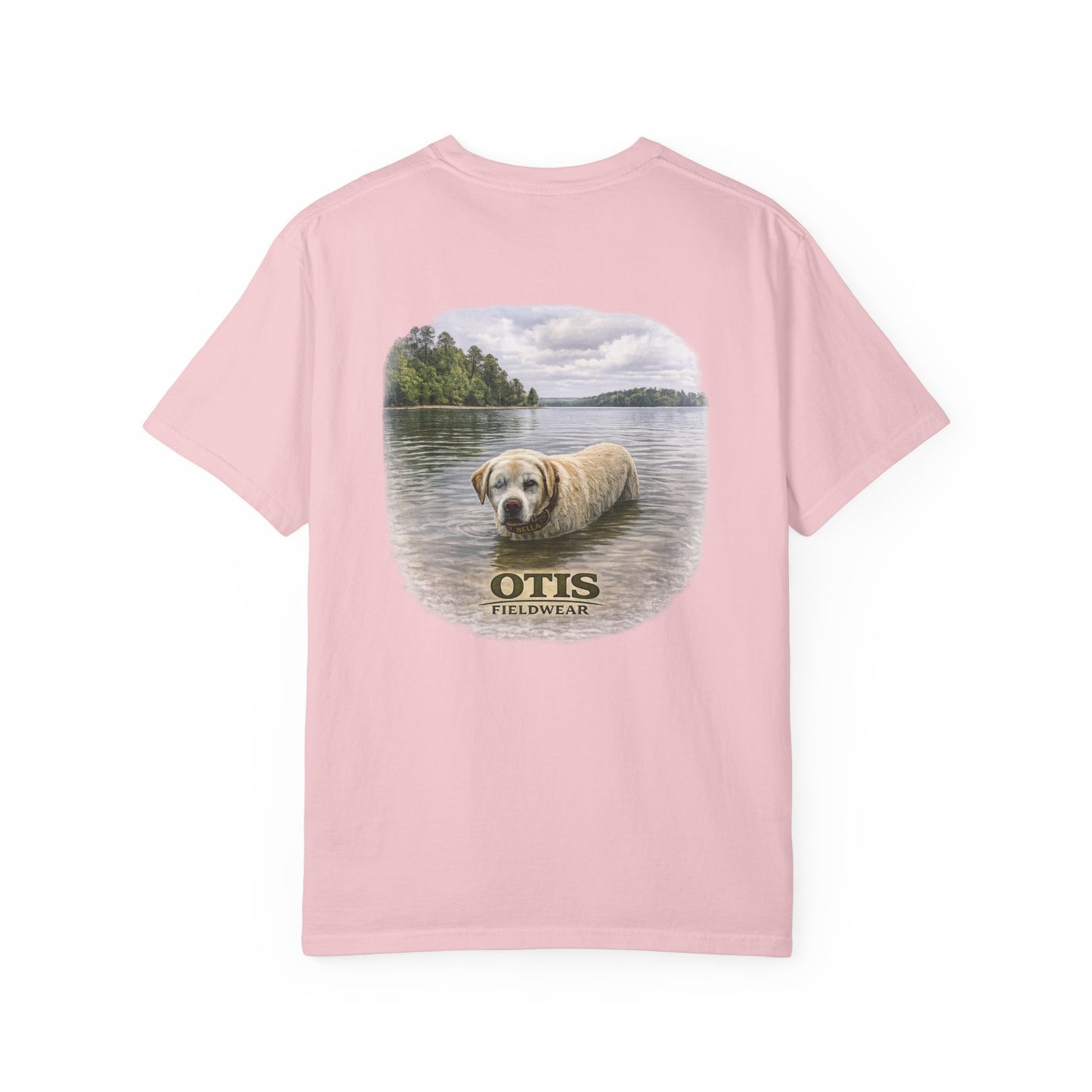 (Custom) Bella the Lab